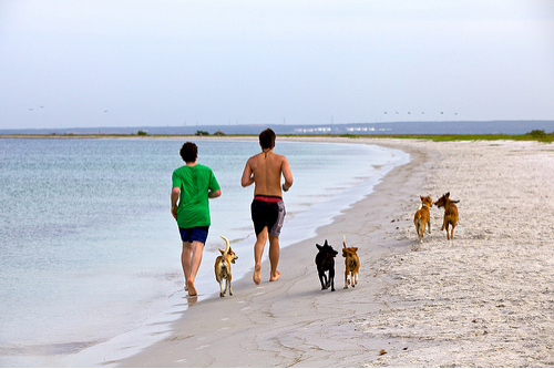 5 ways for men to stay healthy this summer